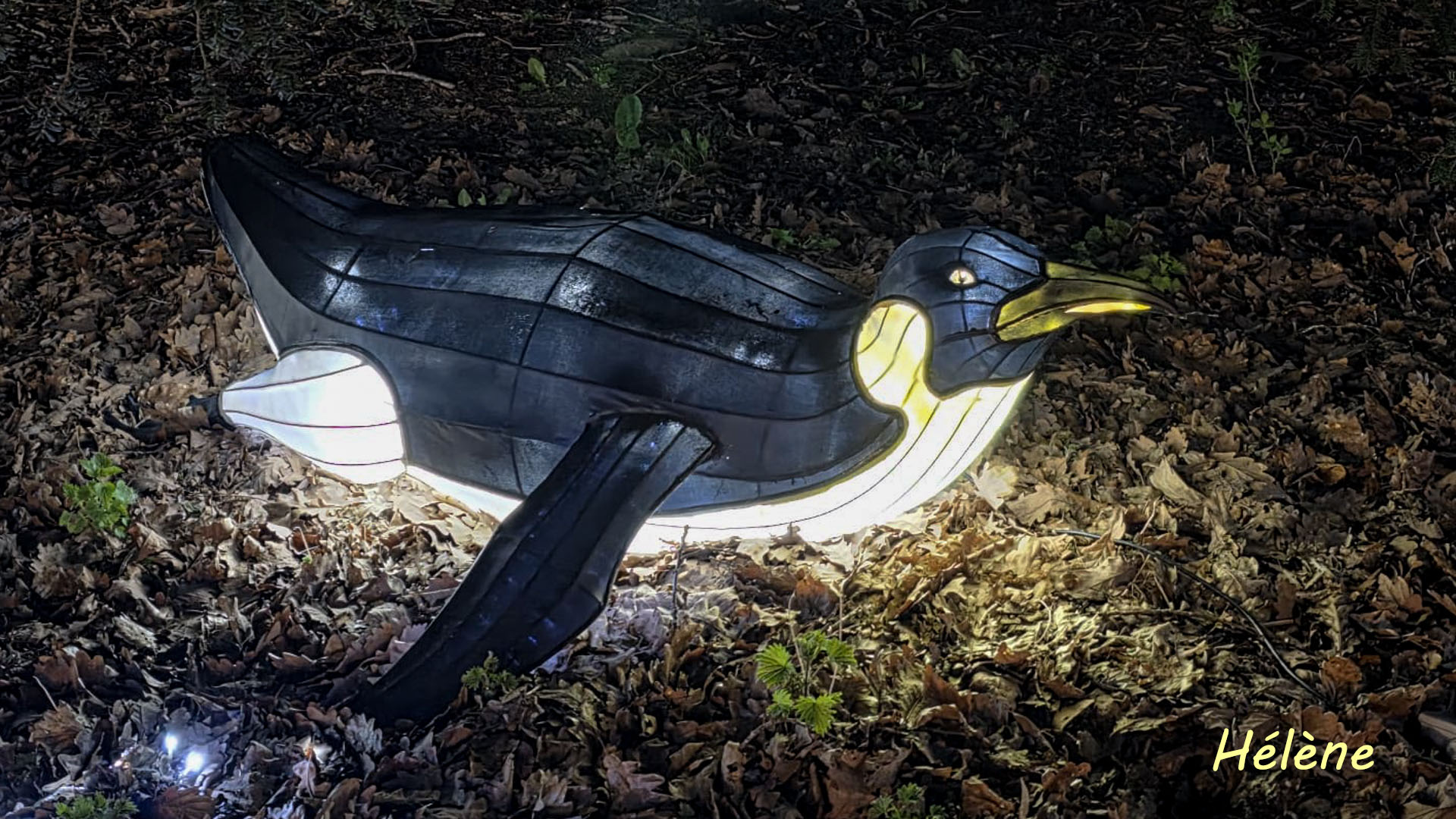 THOIRY -Illumination ,  Lumières sauvages 2025-2026